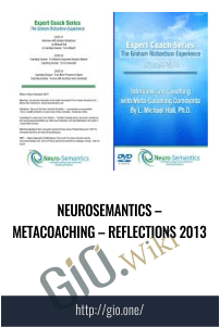 Neurosemantics – Metacoaching – Reflections 2013