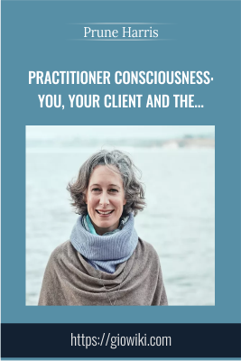 Practitioner Consciousness: You, Your Client and the Healing Field - Prune Harris
