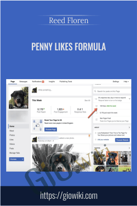 Penny Likes Formula – Reed Floren