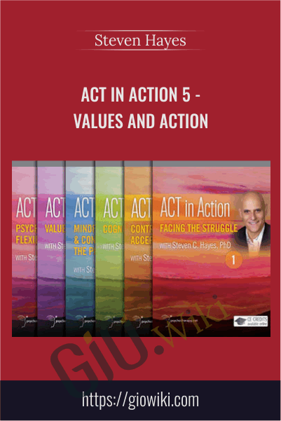 ACT in Action 5 - Values and Action - Steven Hayes