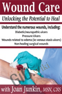 Wound Care: Unlocking the Potential to Heal - Joan Junkin