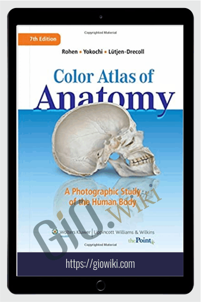 A Photographics Study of Human Anatomy - Johannes W. Rohen