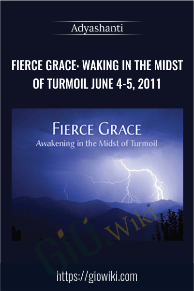 Fierce Grace: Waking in the Midst of Turmoil June 4-5, 2011 - Adyashanti