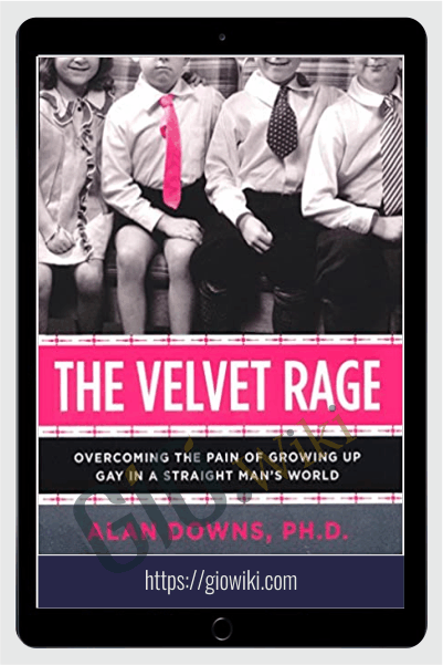 The Velvet Rage: Overcoming the Pain of Growing Up Gay in a Straight Man's World, 2nd edition - Alan Downs