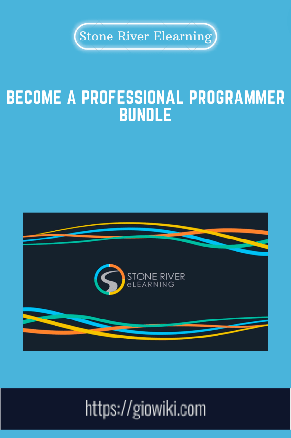 Become a Professional Programmer Bundle - Stone River Elearning