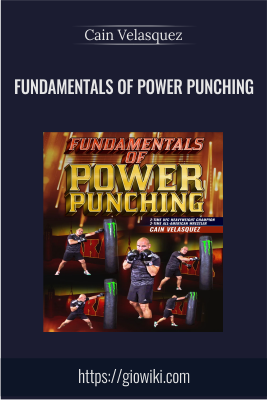 Fundamentals of Power Punching - Cain Velasquez