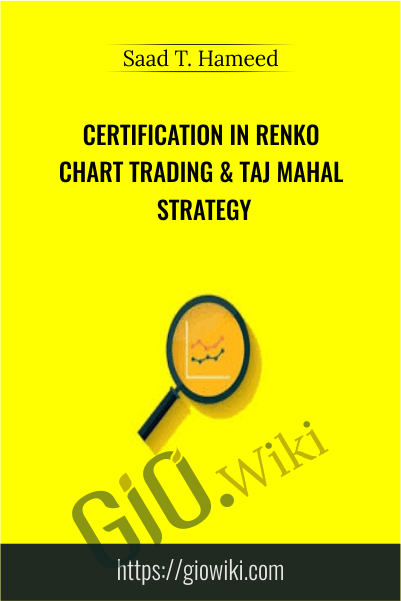 Certification in Renko Chart Trading & Taj Mahal Strategy - Saad T. Hameed