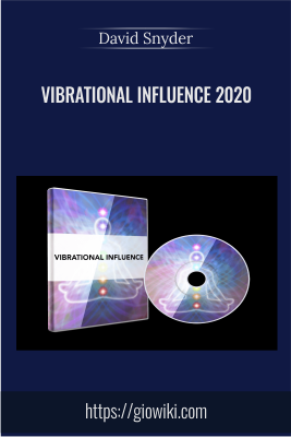 Vibrational Influence 2020 - David Snyder