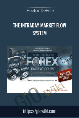 The Intraday Market Flow System - Hector DeVille