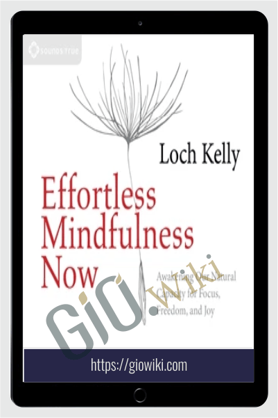Effortless Mindfulness Now - Awakening Our Natural Capacity for Focus - Freedom and Joy - Loch Kelly