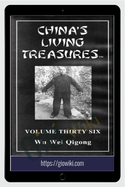 Wu Wei Qigong - Master George Xu