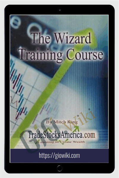 The Wizard Training Course – Mitch King