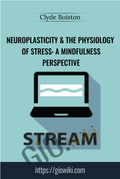 Neuroplasticity & the Physiology of Stress: A Mindfulness Perspective - Clyde Boiston