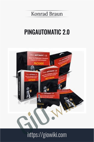 PingAutomatic 2.0 - Konrad Braun