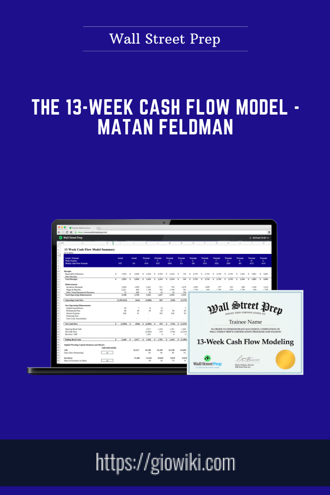 The 13-Week Cash Flow Model - Matan Feldman - Wall Street Prep