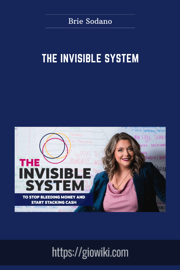The Invisible System - Brie Sodano