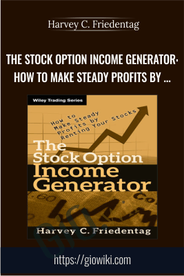 The Stock Option Income Generator: How To Make Steady Profits by Renting Your Stocks - Harvey C. Friedentag