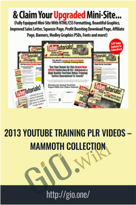 2013 Youtube Training PLR Videos – Mammoth Collection