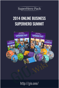 2014 Online Business Superhero Summit