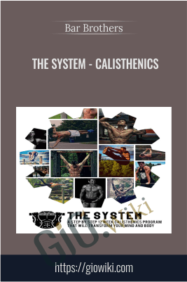 The System - Calisthenics - Bar Brothers
