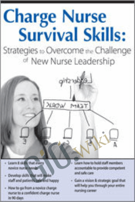 Charge Nurse Survival Skills: Strategies to Overcome the Challenge of New Nurse Leadership - Vivien Rosina Mudgett