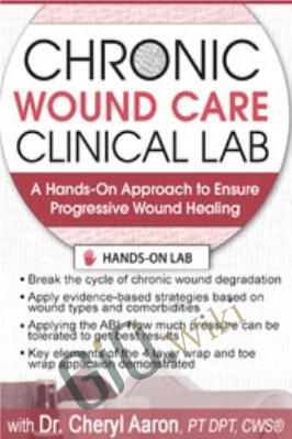 Chronic Wound Care Clinical Lab: A Hands-On Approach to Ensure Progressive Wound Healing - Cheryl Aaron