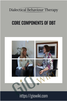 Core Components of DBT