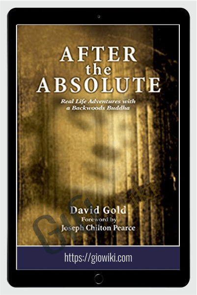 After the Absolute - Real Life Adventures with a Backwoods Buddha - David Gold