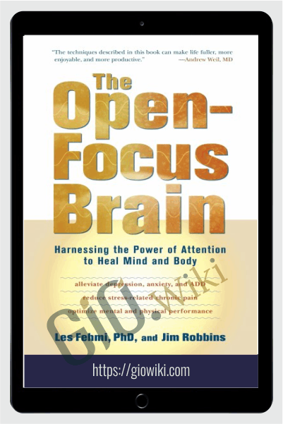 The Open-Focus Brain - Les Fehmi & Jim Robbins