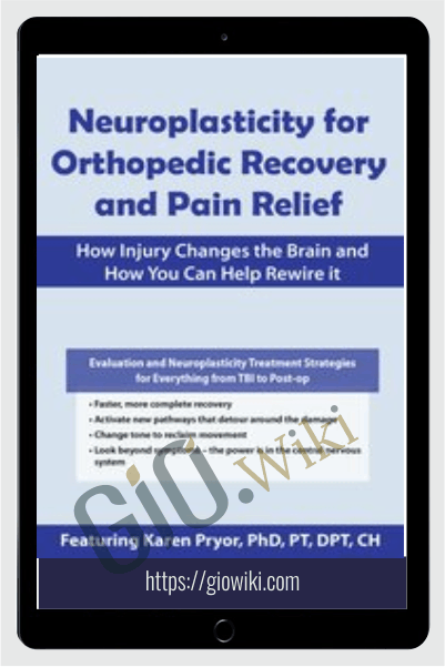 Neuroplasticity for Orthopedic Recovery and Pain Relief: How Injury Changes the Brain and How You Can Help Rewire It - Karen Pryor