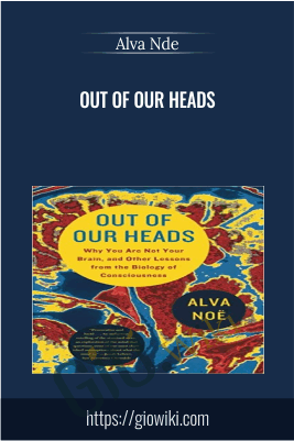 Out of Our Heads - Alva Nde