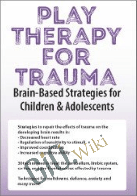 Play Therapy for Trauma: Brain-Based Strategies for Children & Adolescents - Amy Flaherty