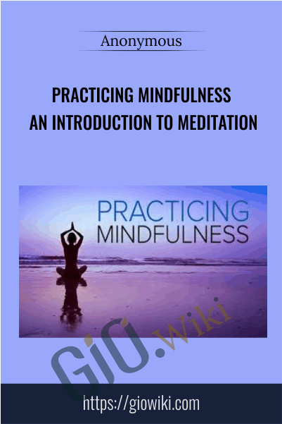 Practicing Mindfulness An Introduction to Meditation