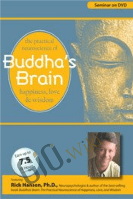 Buddha's Brain: The Practical Neuroscience of Happiness, Love and Wisdom - Rick Hanson