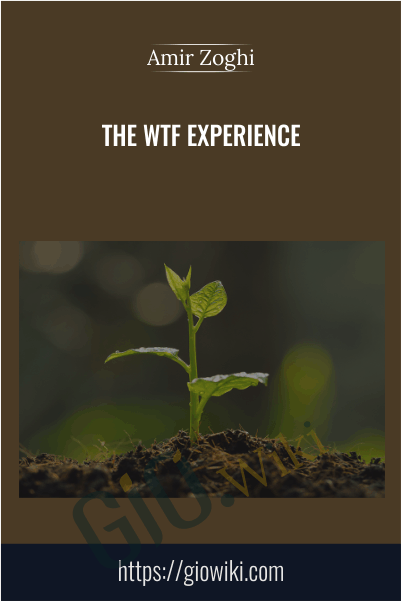 The WTF Experience - Amir Zoghi