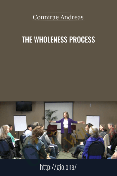The Wholeness Process - Connirae Andreas
