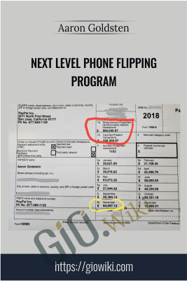 Next Level Phone Flipping Program – Aaron Goldsten