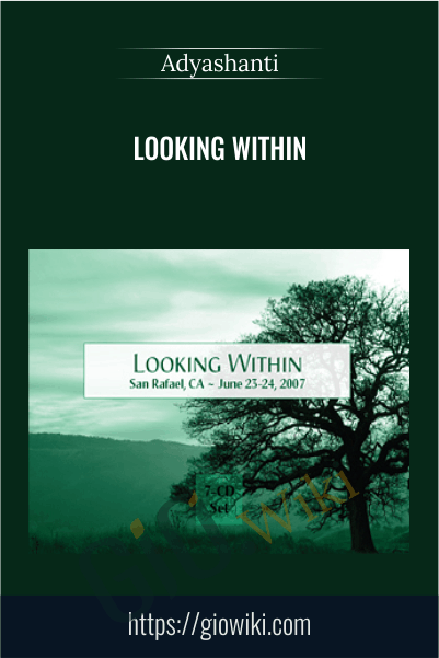 Looking Within - Adyashanti