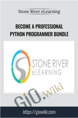 Become a Professional Python Programmer Bundle - Stone River eLearning