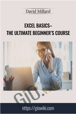 Excel Basics– the Ultimate Beginner’s Course - David Millard