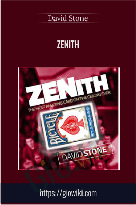 Zenith - David Stone