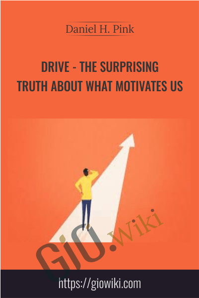 Drive: The Surprising Truth about What Motivates Us - Daniel H. Pink
