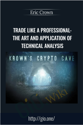 Trade Like a Professional: The Art and Application of Technical Analysis