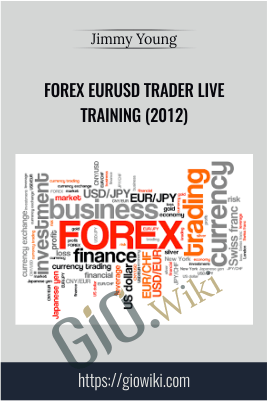 Forex EURUSD Trader Live Training (2012)