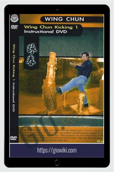 Wing Chun Kicking - Gary Lam