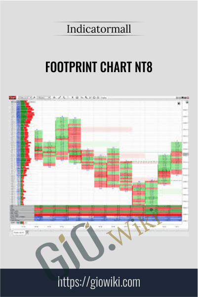 Footprint Chart NT8 – Indicatormall