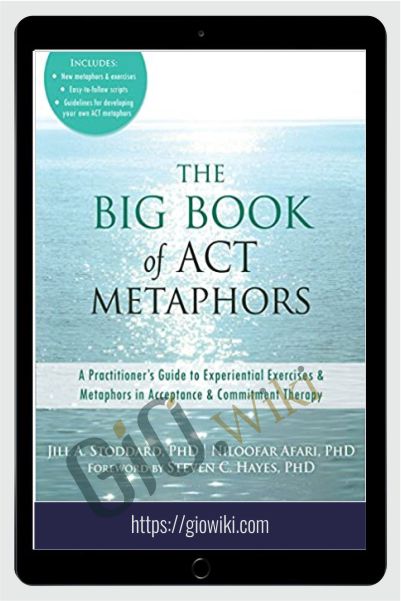 The Big Book of ACT Metaphors, A Practitioner’s Guide to Experiential Exercises and Metaphors in Acceptance and Commitment Therapy - Jill A. Stoddard and Niloofar Afari