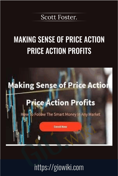 Making Sense of Price Action Price Action Profits - Scott Foster.