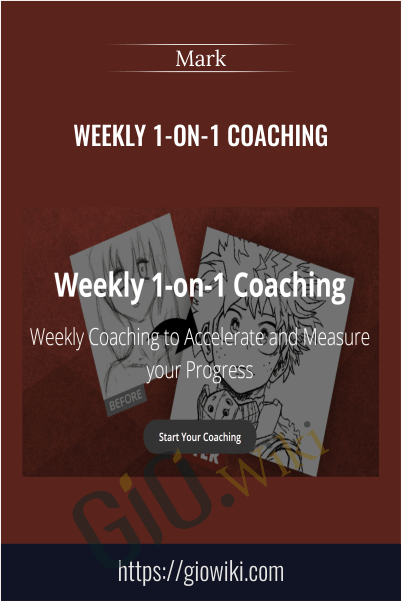 Weekly 1-on-1 Coaching - Mark