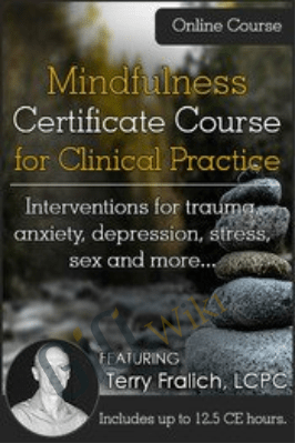 Mindfulness Certificate Course for Clinical Practice: Interventions for trauma, anxiety, depression, stress, sex and more - Terry Fralich